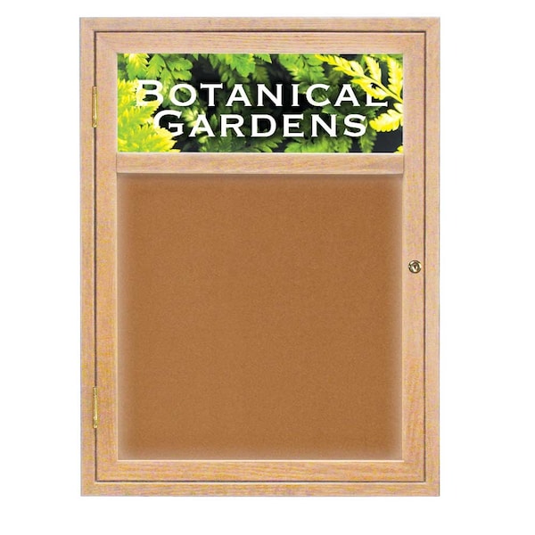 Open Faced Traditional Rounded Corkboard